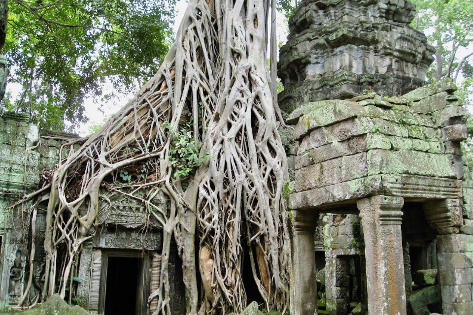 Ta Prohm Tempel